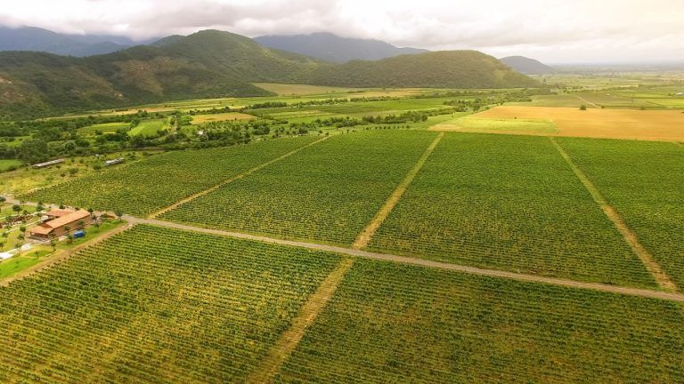 Georgia secures $100m partnership to advance tokenized real‑world asset (rwa) agriculture
