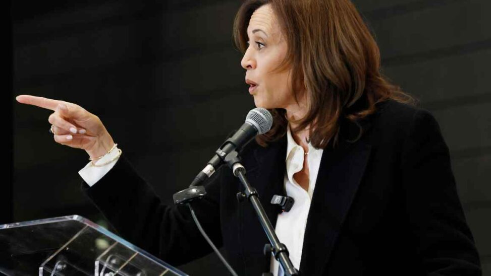 Kamala harris blames democrats’ ‘recklessness’ for sticking with biden