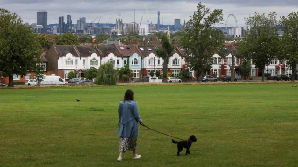 Uk rental listings fall at fastest rate since covid lockdown, survey shows