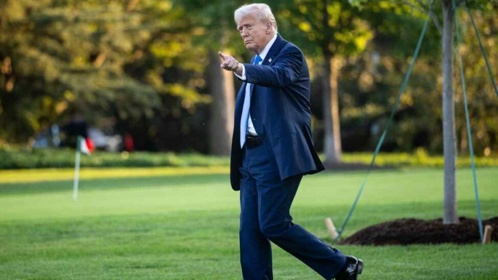 Trump designates ‘antifa’ as domestic terrorist organisation