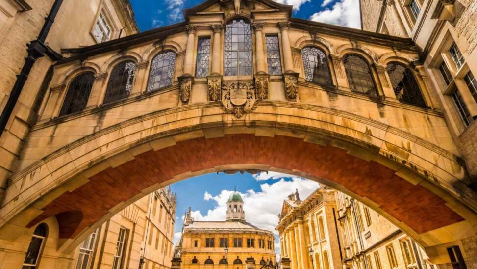 Britain’s zombie universities should put schumpeter on the syllabus