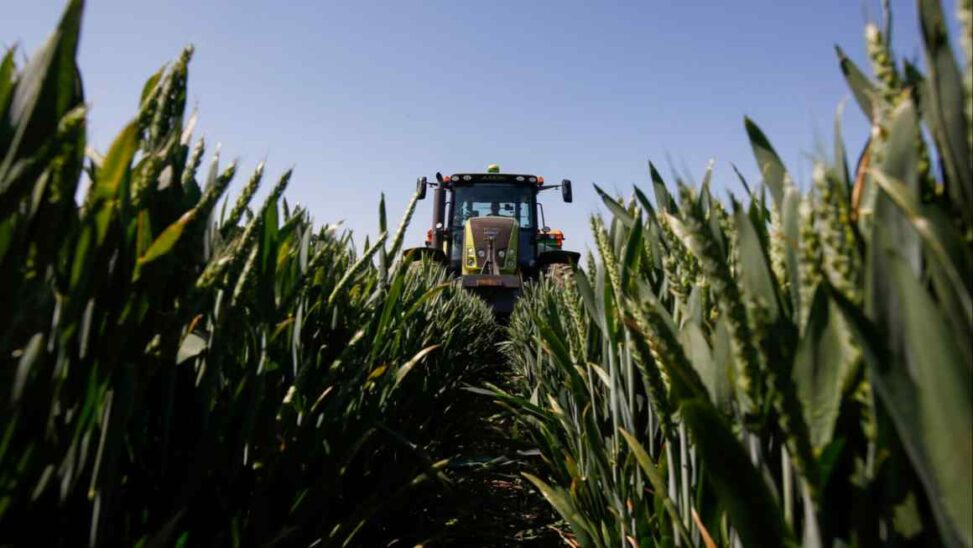 Us companies put brakes on hiring after trump’s tariffs hit