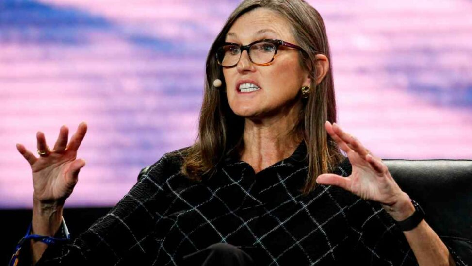 Cathie wood’s flagship ark fund balloons by $3.5bn ahead of klarna ipo