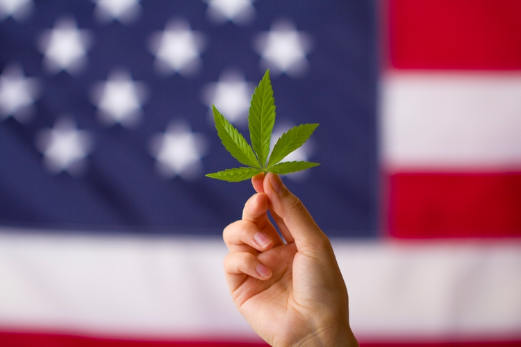 Cannabis stocks rally after trump posts video touting cbd use for senior healthcare