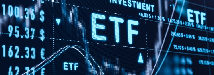 Cathie woods' ark invest increases stake in crypto related stocks bitmine immersion & bullish