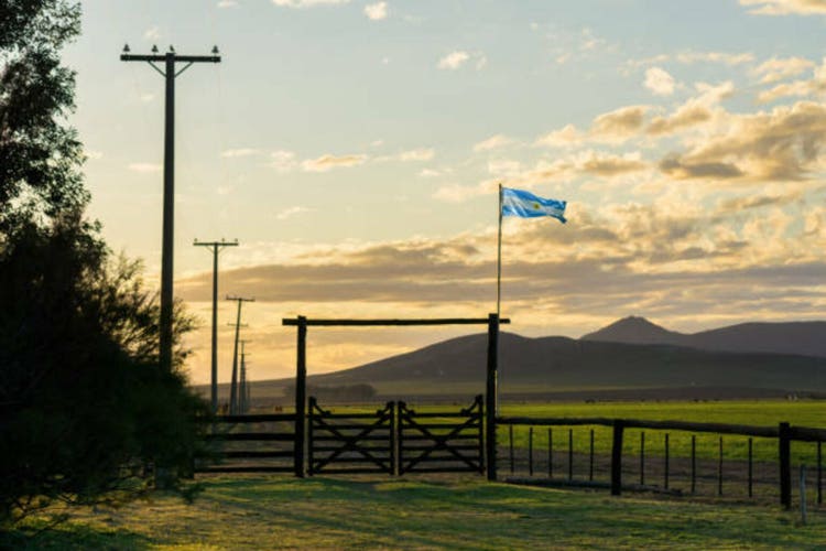 Argentina stocks suffer worst week since feb 2024 after milei's buenos aires loss