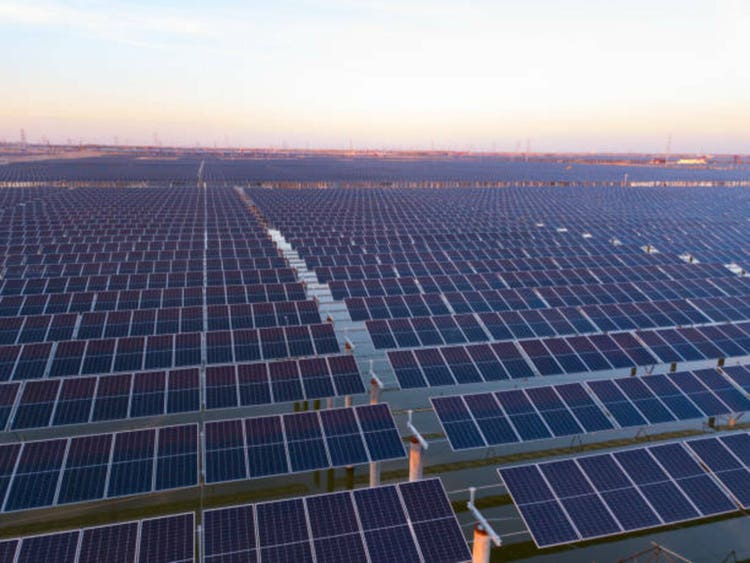 Vcs call western clean tech 'uninvestable' after seeing china’s lead: report