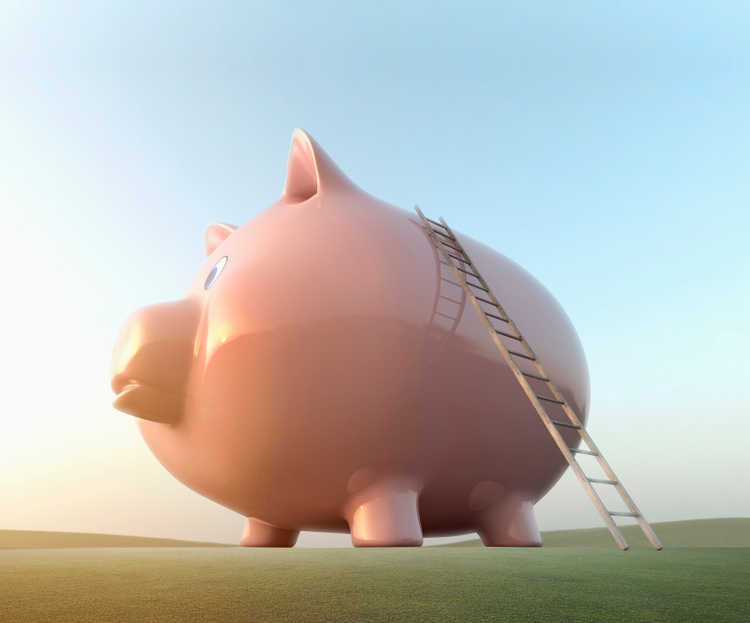 The next big investing theme of the 2020s is b.i.g. bofa