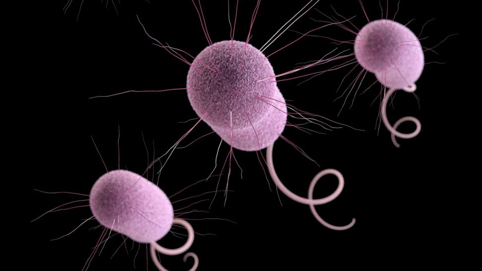 'nightmare bacteria' cases rising in the us