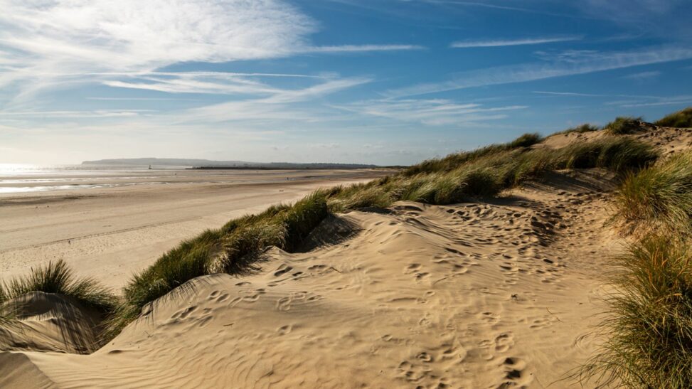 Man charged with sexual assault of woman sunbathing at popular beach