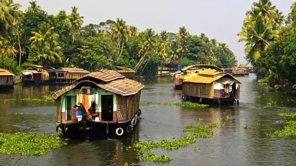 India's state of kerala fighting rise in cases of rare 'brain eating' disease
