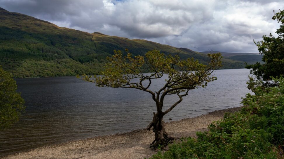 'possible human remains' discovered at beauty spot