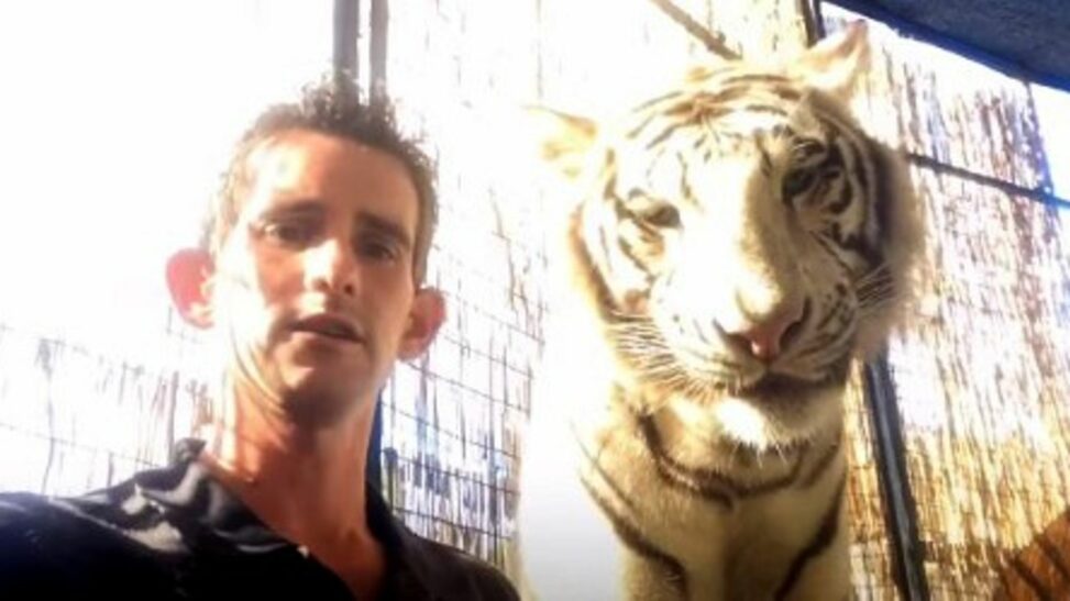 Animal handler linked to 'tiger king' joe exotic mauled to death by big cat