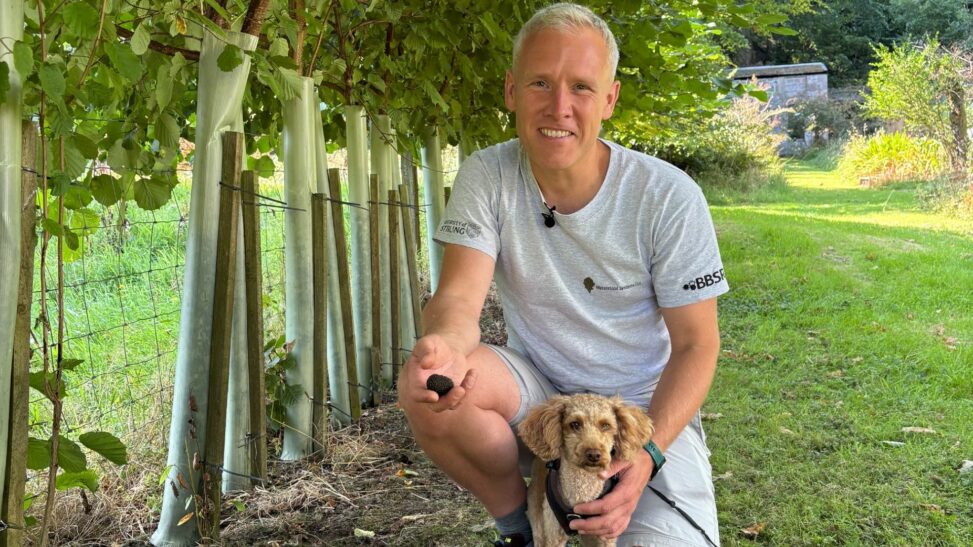 Professor's joy as truffle is grown on uk island in 'landmark' moment