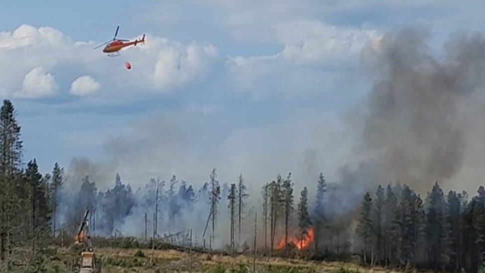Uk suffers worst ever year for wildfires with total set to eclipse 1,000