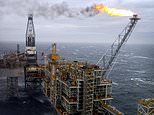 Blackrock says fossil fuels and green energy are needed to power future as it shares tips on where to invest