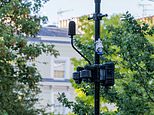 Majority back calls for noise cameras, stricter mots and higher fines to discourage loud cars