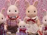 Sylvanian families can be worth thousands of pounds toy experts offer their six top tips for spotting a bargain