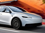 Tesla unveils 'standard' model y and model 3 that are $5k cheaper in bid to revive dwindling sales but they're not coming to the uk...yet
