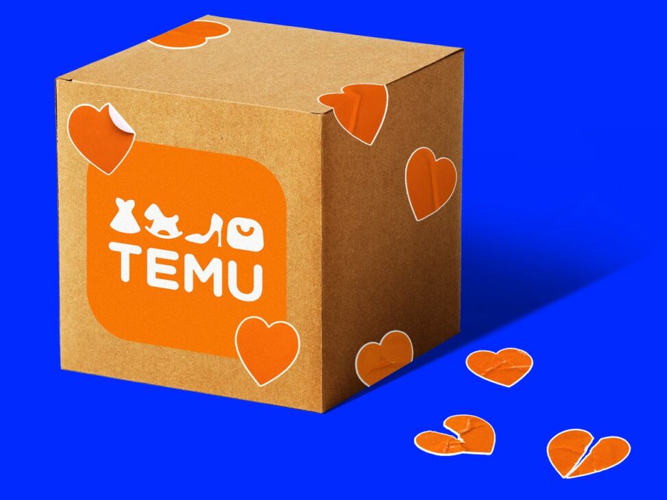 I ordered from temu and worried my order would be slapped with a tariff