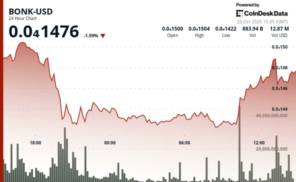 Bonk tests support as volume surges 122% in solana selloff