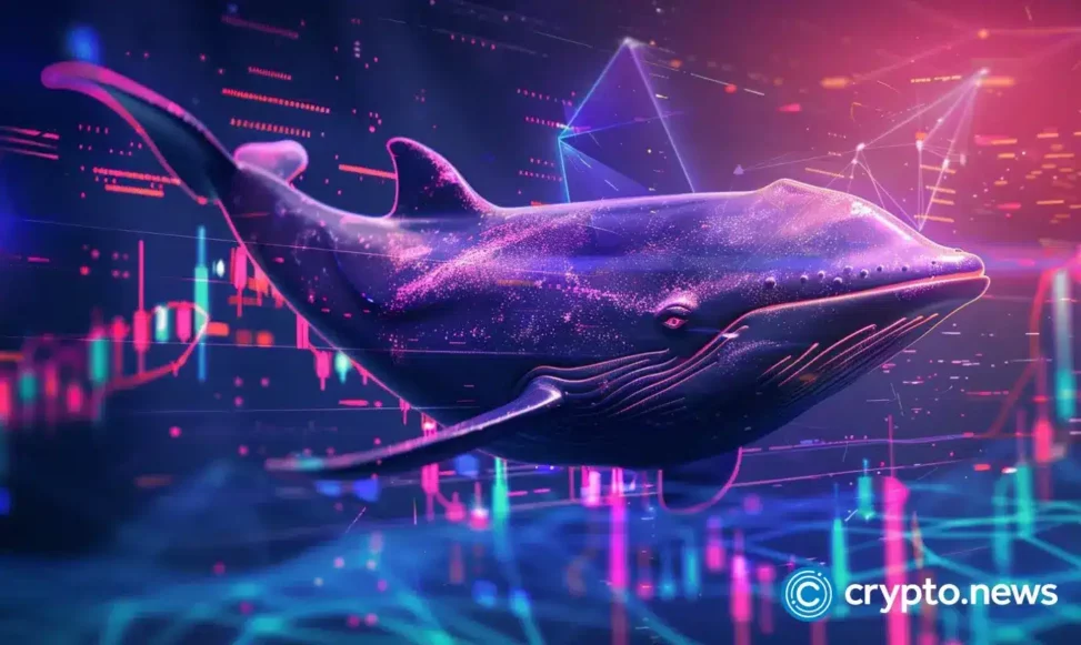 Massive bitcoin whale transfers 2,000 btc to 51 wallets, here’s why