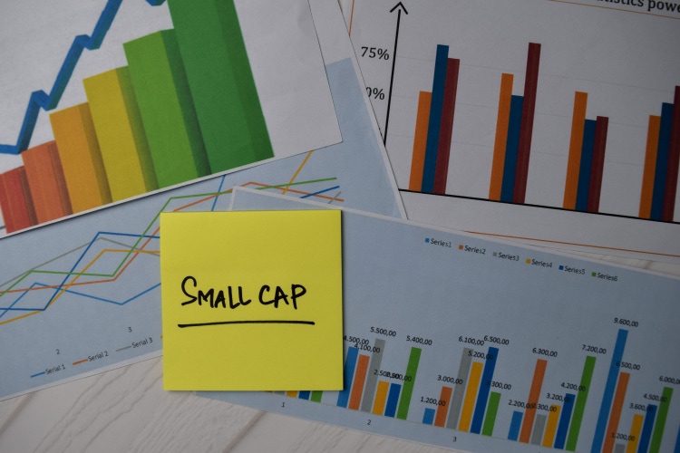 Small cap earnings recovery gathers steam, valuations still attractive: bofa