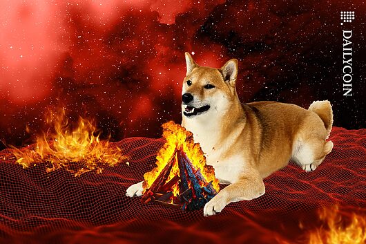 Shiba inu soars 887% in daily burns: price climb ahead?