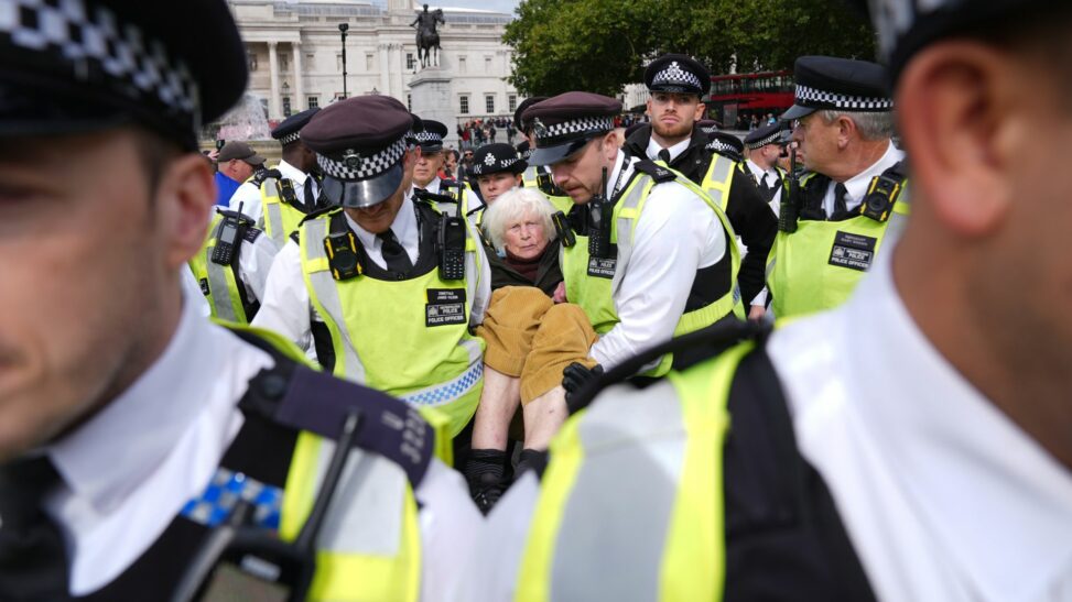 Nearly 500 arrested in london as pro palestine protest goes ahead despite pleas