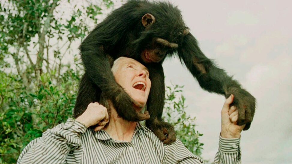 'conservation giant' who inspired 'millions' has died