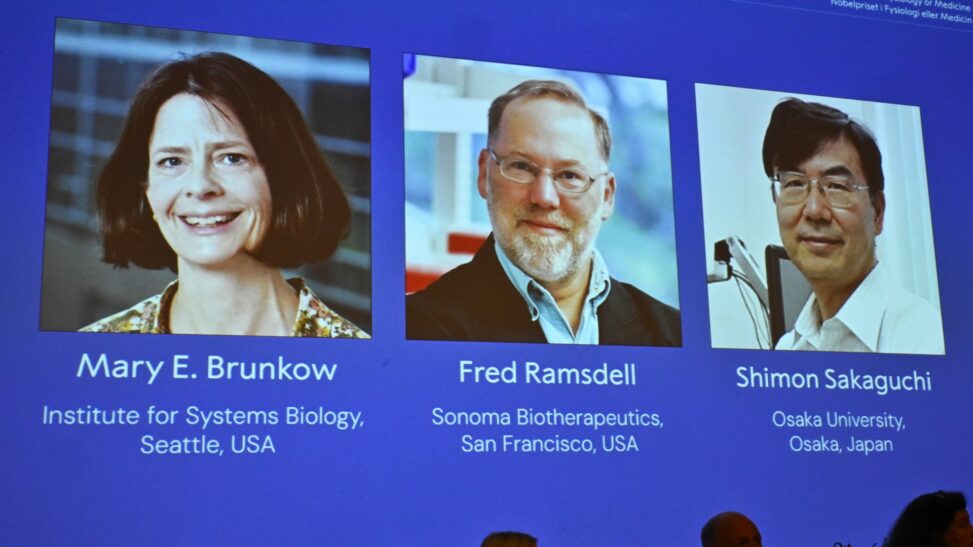 Nobel prize committee unable to reach winner as he's 'hiking off grid'