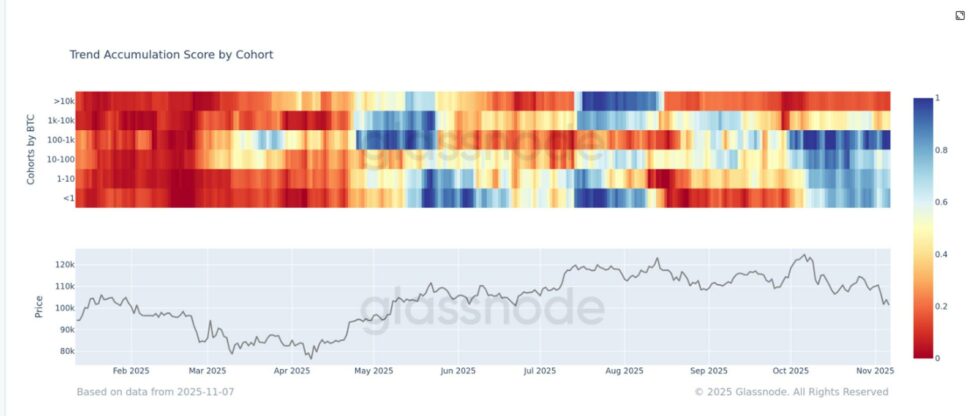 Bitcoin whales vs everyone else, and the whales are winning