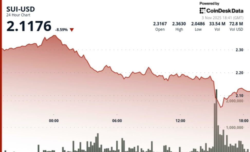 Sui token drops 9% as institutional selling hits harder than broader crypto market