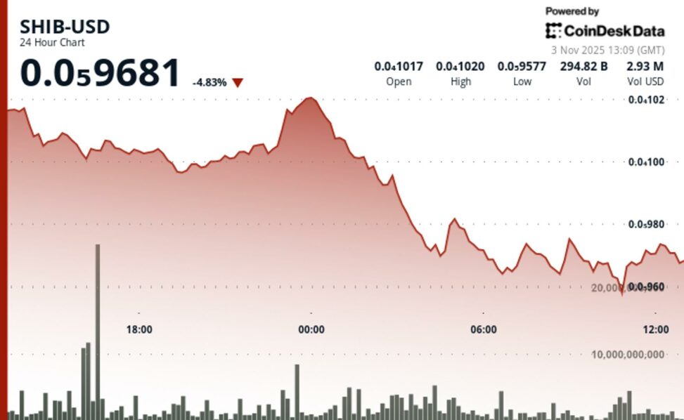 Shib slides 5% despite token burn as btc slides below 200 day average