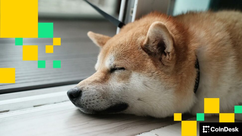 Doge beats the blue chips as d.o.g.e calls it quits