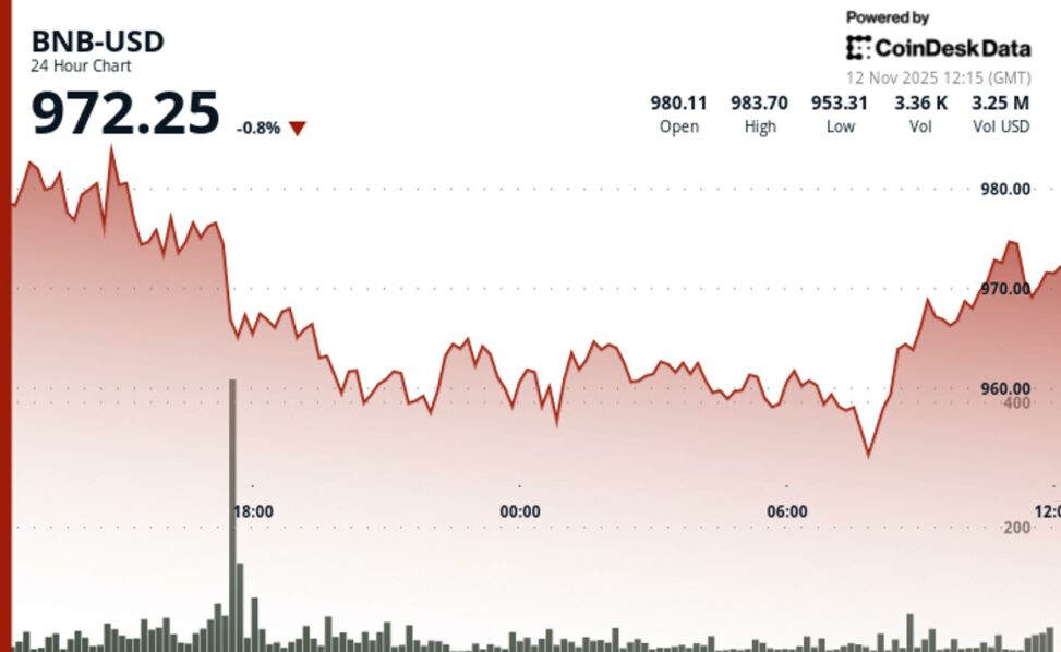 Bnb recovers above $970 after brief drop as market volatility pressures token