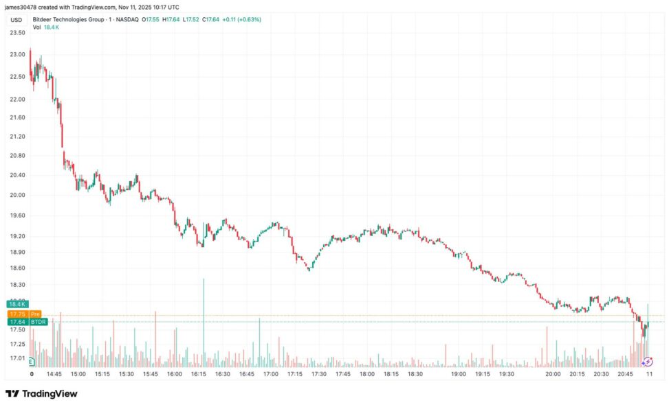 Bitdeer fell 20% on wider than estimated net loss, asic chip delay