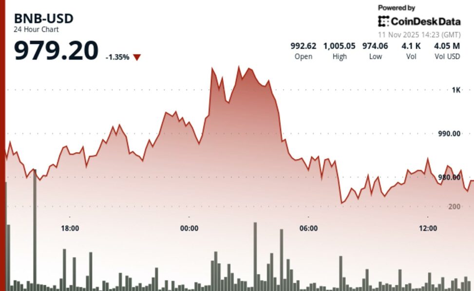 Bnb slips below $1,000 as selling pressure pushes token into bearish territory