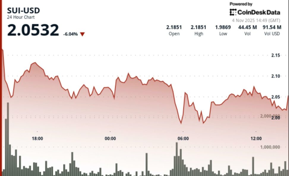 Sui slides as $116m defi exploit rattles crypto markets