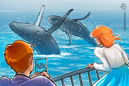 Bitcoin whale activity on track for its biggest week this year: analysts