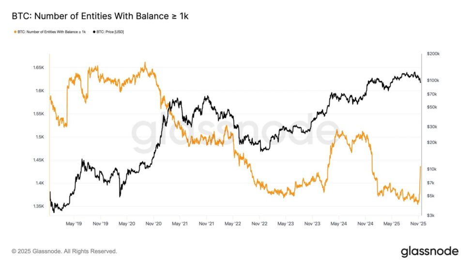 Bitcoin accumulation amid market weakness? sharp rise in 1k btc holders suggests so