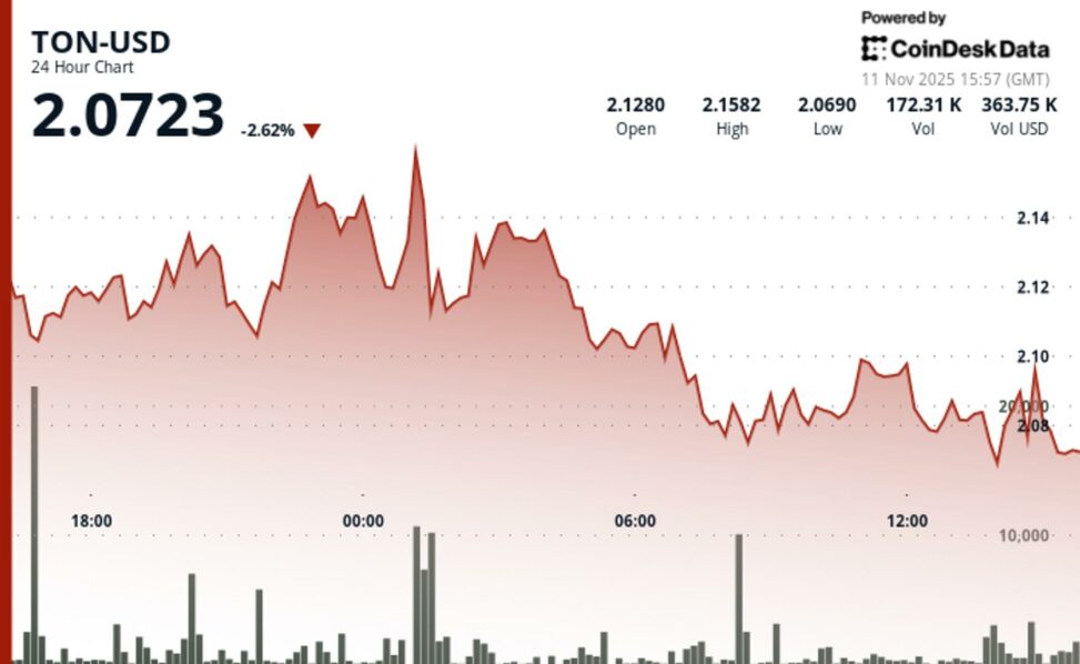 Toncoin drops to key $2.07 support level as selling pressure builds