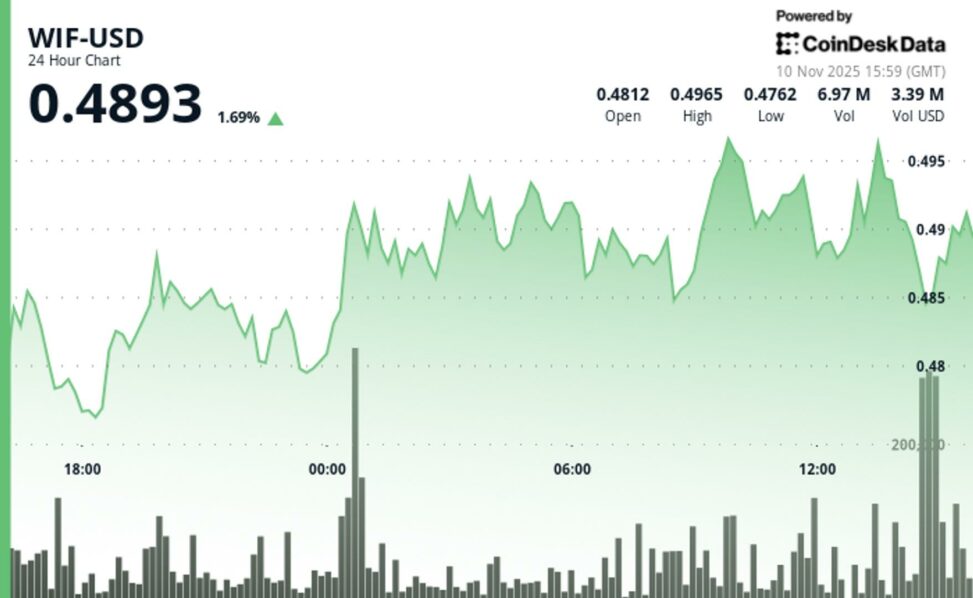 Wif surged 5% to $0.497 before retreating as profit taking emerged