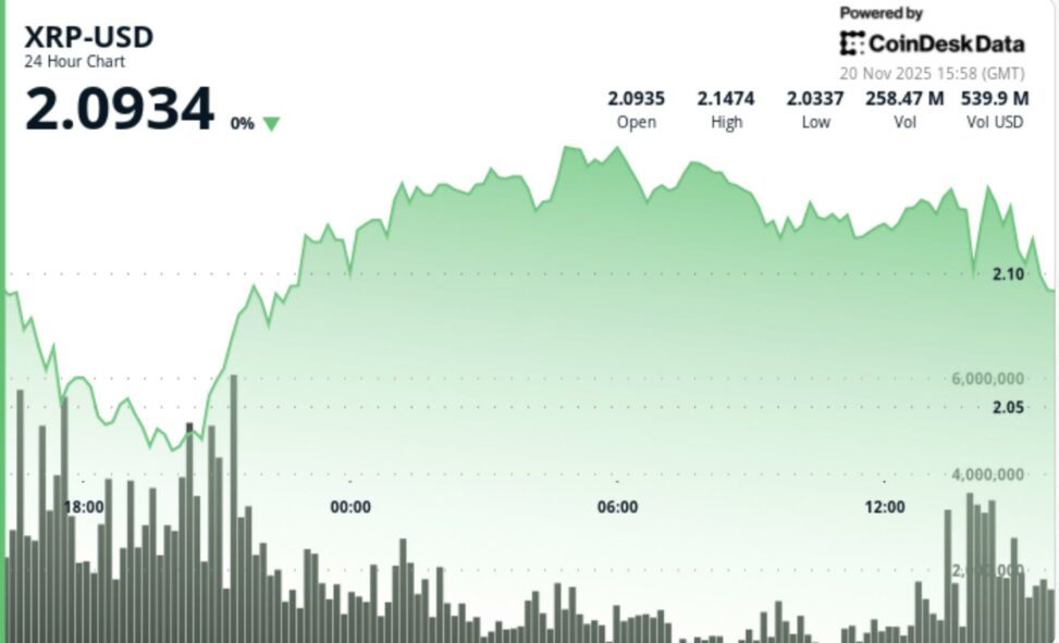 What next for xrp as bitcoin loses $90,000 level again
