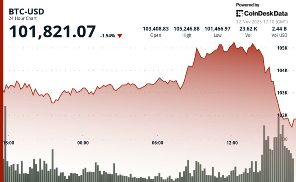 Bitcoin plunges below $102k amid weak u.s. demand, fed divided on december cut