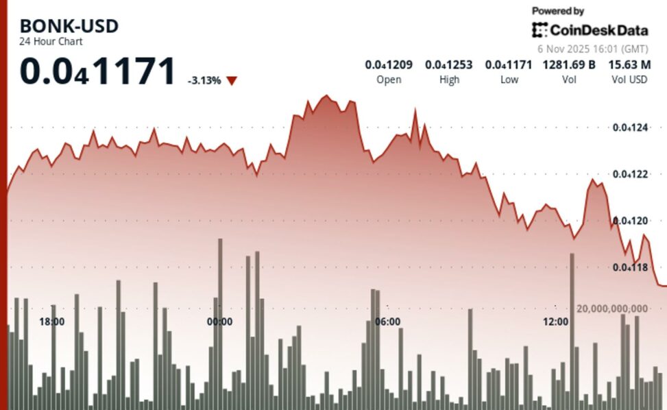 Bonk slides 4% as support break sparks renewed technical weakness