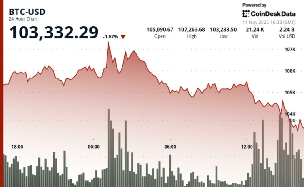 Bitcoin slips toward $103k; miners tumble on ai trade cooling, softbank's nvidia exit
