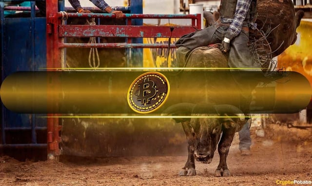 Bitcoin's surge past $106k liquidates james wynn 12 times in 12 hours