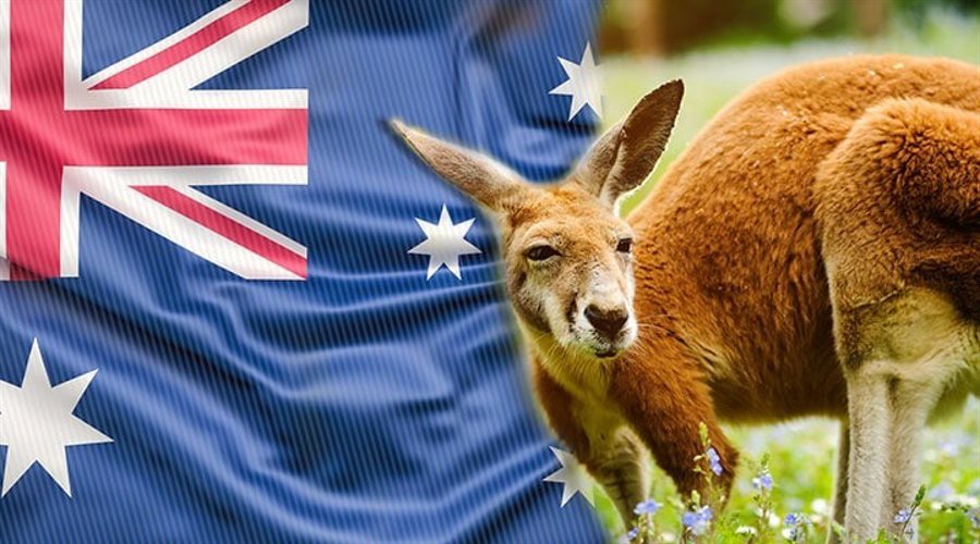Australia’s fraud intel network exposes $60m in scams as account takeovers rise 47%