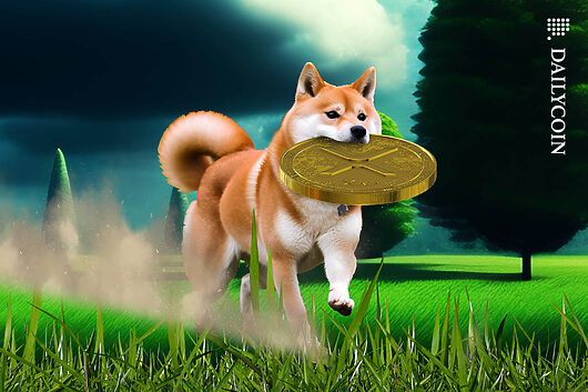 Grayscale’s epic doge & xrp etfs go public today